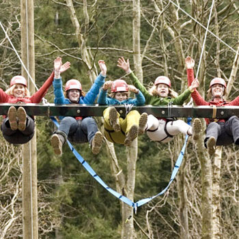 Tree Top Adventure